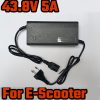 43.8V 5A LiFePO4 Charger