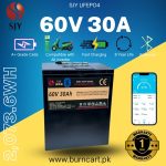Lithium Iron Phosphate LiFePO4 Battery 60V 30Ah Metal Cell Deep Cycles for Electric Bike EBike Electric Cycle 5 Year Life in Pakistan
