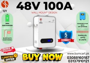 48v 100ah wall mount