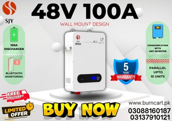 48v 100ah wall mount