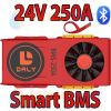 DALY BMS 8S 24V 250A