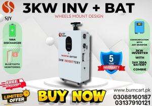 SJY 3KW Invettery